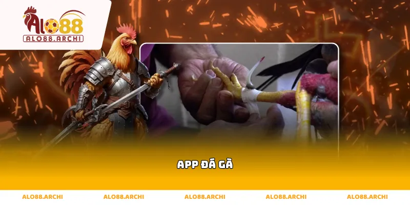 app đá gà