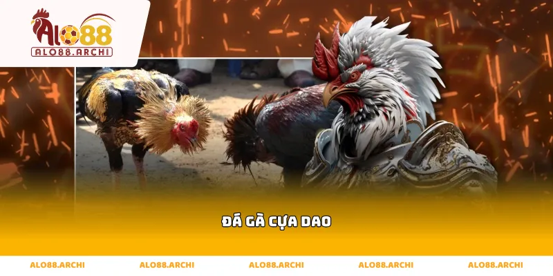 đá gà cựa dao